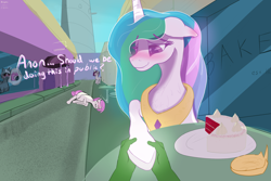 Size: 3000x2000 | Tagged: safe, artist:enonnnymous, derpibooru import, princess celestia, oc, oc:anon, /sun/, cake, camera, canterlot, dialogue, exhibitionism, fainted, food, hand, holding hooves, hoof hold, public