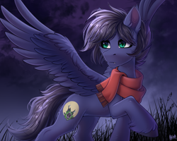 Size: 2500x2000 | Tagged: safe, artist:hakaina, derpibooru import, oc, oc only, oc:fenris ebonyglow, pegasus, pony, clothes, male, scarf, solo, spread wings, stallion, wings