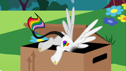 Size: 2001x1125 | Tagged: safe, derpibooru import, oc, oc:lightning bliss, alicorn, box, flank, rainbow tail, tail