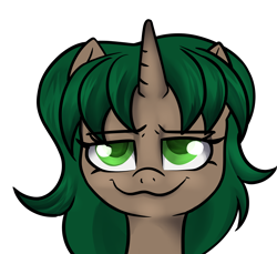 Size: 3600x3300 | Tagged: safe, artist:dumbwoofer, derpibooru import, oc, oc:pine shine, pony, unicorn, bust, female, looking at you, mare, simple background, smiling, smiling at you, smug, solo, transparent background