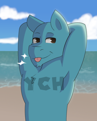 Size: 1500x1869 | Tagged: safe, artist:brushwork, derpibooru import, oc, oc only, earth pony, semi-anthro, :p, advertisement, arm behind head, armpits, beach, cloud, colored pupils, commission, day, eyebrows, handsome, looking at you, male, ocean, outdoors, sand, sky, smiling, smiling at you, smirk, solo, stallion, tongue, tongue out, water, ych example, your character here