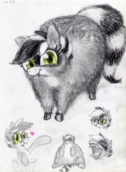 Size: 4342x5937 | Tagged: safe, artist:ja0822ck, derpibooru import, oc, oc:bandy cyoot, hybrid, pony, raccoon, raccoon pony, traditional art