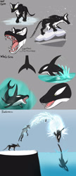 Size: 1118x2585 | Tagged: safe, artist:a0iisa, orca, whale, wolf, akhlut, beast, concept art, creature, diving, monster, shapeshifter, shapeshifting, sketch, snow, teeth, transformation, transformation sequence, underwater