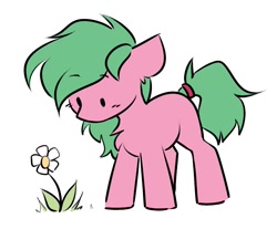 Size: 1153x955 | Tagged: safe, artist:starlyflygallery, derpibooru import, oc, oc only, earth pony, pony, flower, simple background, solo, white background