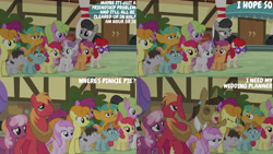 Size: 1280x720 | Tagged: safe, derpibooru import, edit, edited screencap, editor:quoterific, screencap, apple bloom, big macintosh, button mash, carrot top, cheerilee, daisy, flower wishes, golden harvest, matilda, octavia melody, piña colada, scootaloo, snails, snips, sweetie belle, truffle shuffle, twist, donkey, earth pony, pegasus, pony, unicorn, season 5, slice of life (episode), apple bloom's bow, bow, colt, cutie mark crusaders, eyes closed, female, filly, foal, hair bow, male, mare, open mouth, spread wings, stallion, text, wings