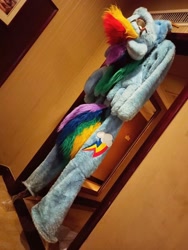 Size: 868x1156 | Tagged: safe, artist:rogerdaily, derpibooru import, rainbow dash, clothes, cosplay, costume, fursuit, photo, ponysuit