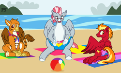 Size: 2070x1246 | Tagged: safe, artist:peregrinstaraptor, derpibooru import, oc, oc only, oc:gareth, oc:sunfyre, oc:valour flame, classical hippogriff, griffon, hippogriff, pegasus, butt, clothes, male, plot, pride, pride flag, swimsuit
