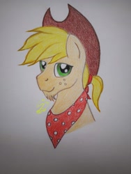 Size: 3096x4128 | Tagged: safe, artist:lennystendhal13, derpibooru import, applejack, applejack (male), pony, bust, portrait, rule 63, solo, traditional art