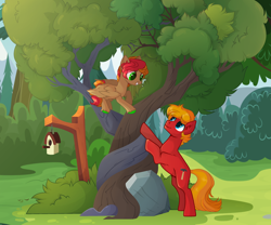 Size: 3190x2655 | Tagged: safe, artist:shore2020, derpibooru import, oc, oc only, earth pony, pegasus, pony, base used, bird house, duo, earth pony oc, intertwined trees, male, pegasus oc, stallion, tree