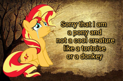 Size: 1625x1080 | Tagged: safe, derpibooru import, edit, sunset shimmer, pony, unicorn, apology, crying, mouthpiece, sad, text edit