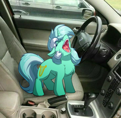 Size: 4000x3885 | Tagged: safe, artist:witchtaunter, derpibooru import, lyra heartstrings, pony, unicorn, aaaaaaaaaa, car, car interior, chest fluff, ear fluff, ears, faic, female, floppy ears, irl, l.u.l.s., mare, meme, photo, ponies in real life, ponified, ponified animal photo, ponified meme, screaming, solo, standing, teeth, yelling