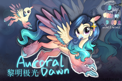 Size: 1452x963 | Tagged: safe, artist:rily, derpibooru import, oc, oc only, oc:auroral dawn, hippogriff, pony, bald, blue background, chinese, looking at you, purple eyes, simple background, solo, wings, zoom layer