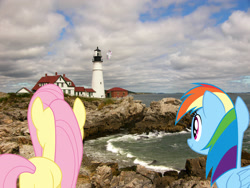 Size: 3264x2448 | Tagged: safe, artist:dashiesparkle, artist:mlplover94, artist:mundschenk85, derpibooru import, blossomforth, fluttershy, rainbow dash, pegasus, pony, cape elizabeth, female, high res, irl, lighthouse, maine, mare, photo, ponies in real life