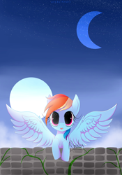 Size: 4000x5716 | Tagged: safe, artist:nnaly, derpibooru import, rainbow dash, pegasus, pony, absurd resolution, leaning, looking at you, sky, solo, spread wings, starry eyes, wingding eyes, wings