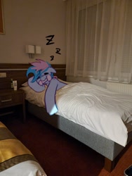 Size: 1536x2048 | Tagged: safe, artist:maren, derpibooru import, oc, oc only, oc:blue chewings, earth pony, pony, bed, chew toy, hotel room, irl, mouth hold, onomatopoeia, photo, ponies in real life, sleeping, solo, sound effects, zzz