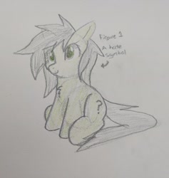 Size: 2844x2997 | Tagged: safe, artist:anonymous, ponerpics import, oc, oc:anon filly, pony, /mlp/, female, filly, foal, hate symbol, looking at you, needs more jpeg, traditional art, trotcon