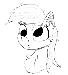 Size: 830x924 | Tagged: safe, artist:chopsticks, derpibooru import, derpy hooves, pegasus, pony, cheek fluff, chest fluff, ear fluff, ears, female, mare, monochrome, simple background, sketch, solo, white background