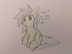 Size: 2016x1512 | Tagged: safe, artist:neuro, derpibooru import, oc, oc only, oc:anon filly, earth pony, pony, arrow, chest fluff, female, filly, foal, sitting, smiling, solo, text, traditional art