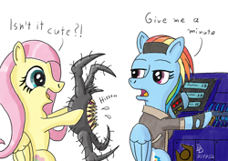 Size: 1200x849 | Tagged: safe, artist:darkdabula, derpibooru import, fluttershy, rainbow dash, pegasus, pony, atg 2022, clothes, combine, crossover, dialogue, duo, female, folded wings, half life alyx, half-life, half-life: alyx, headcrab, jacket, mare, newbie artist training grounds, poison headcrab, simple background, white background, wings