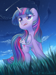 Size: 1200x1600 | Tagged: safe, artist:musicfirewind, derpibooru import, twilight sparkle, twilight sparkle (alicorn), alicorn, pony, epic, female, grass, looking up, mare, night, shooting star, solo, stars