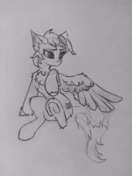 Size: 2296x3056 | Tagged: safe, artist:hornmlp, derpibooru import, pegasus, pony, chest fluff, equal cutie mark, solo, traditional art