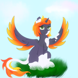 Size: 3000x3000 | Tagged: safe, artist:melody joy, derpibooru import, oc, oc only, alicorn, pony, alicorn oc, female, grass, horn, looking at you, simple background, sitting, spots, spread wings, wings