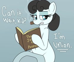 Size: 2400x2000 | Tagged: safe, artist:datte-before-dawn, oc, oc only, oc:kohlette, object pony, original species, pony, toilet pony, book, but why, cigar, dialogue, female, lidded eyes, mare, ponified, reading, simple background, smoking, toilet