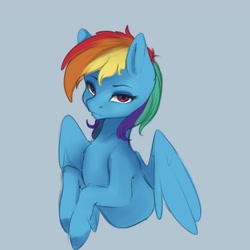 Size: 4000x4000 | Tagged: safe, artist:miokomata, derpibooru import, rainbow dash, pegasus, pony, absurd resolution, blue background, bust, female, lidded eyes, looking at you, mare, simple background, solo