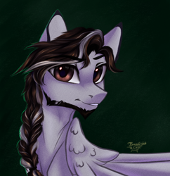 Size: 2000x2070 | Tagged: safe, artist:jsunlight, derpibooru import, oc, pegasus, pony, beard, braid, facial hair, solo