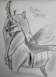 Size: 683x937 | Tagged: safe, artist:alostcarolean, derpibooru import, queen chrysalis, changeling, blood, fangs, grin, injured, latin, monochrome, smiling, solo, traditional art