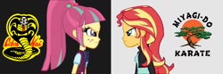 Size: 1500x500 | Tagged: safe, artist:thatradhedgehog, derpibooru import, edit, edited screencap, screencap, sour sweet, sunset shimmer, equestria girls, friendship games, cobra kai, karate kid, miyagi-do karate, stare