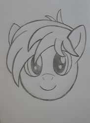 Size: 1504x2058 | Tagged: safe, derpibooru import, sandbar, earth pony, pony, monochrome, traditional art