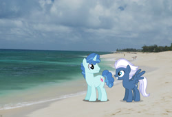 Size: 2048x1397 | Tagged: safe, artist:ambassad0r, artist:dashiesparkle, artist:mlplover94, derpibooru import, night glider, party favor, pegasus, pony, unicorn, beach, female, hawaii, honolulu, irl, male, mare, partyglider, photo, ponies in real life, shipping, spread wings, stallion, straight, wings