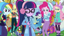 Size: 640x360 | Tagged: safe, derpibooru import, screencap, applejack, fluttershy, pinkie pie, rainbow dash, rarity, sci-twi, twilight sparkle, equestria girls, equestria girls series, holidays unwrapped, spoiler:eqg series (season 2), animated, boots, crossed arms, female, gif, gifs.com, glasses, humane five, humane six, open mouth, open smile, shoes, smiling, sunglasses, winter break-in
