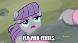 Size: 669x373 | Tagged: safe, derpibooru import, edit, edited screencap, screencap, maud pie, pinkie pie, earth pony, pony, rock solid friendship, caption, cliff, female, fly you fools, gandalf, hanging, image macro, imgflip, long live the party, lord of the rings, mare, meme, offscreen character, pov, solo focus, text