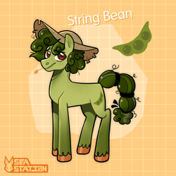 Size: 2000x2000 | Tagged: safe, artist:seasemissary, derpibooru import, oc, oc:string bean, earth pony, pony, hat, male, solo, stallion