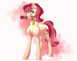 Size: 5000x4000 | Tagged: safe, artist:yaki, derpibooru import, roseluck, earth pony, pony, collar, commission, commissioner:doom9454, cute, flower, flower in mouth, mouth hold, pet tag, pony pet, rose, rose in mouth, rosepet, simple background, solo