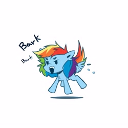 Size: 3543x3543 | Tagged: safe, artist:buvanybu, derpibooru import, rainbow dash, pegasus, pony, angry, barking, behaving like a dog, chibi, female, mare, open mouth, rainbow dog, simple background, solo, spread wings, white background, wings