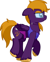 Size: 1920x2359 | Tagged: safe, alternate version, artist:alexdti, derpibooru import, oc, oc:purple creativity, pegasus, pony, clothes, simple background, solo, transparent background