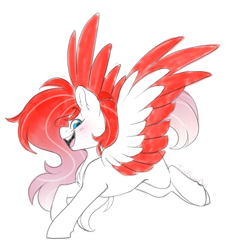 Size: 3471x3450 | Tagged: safe, artist:twisted-sketch, derpibooru import, oc, oc only, oc:making amends, pegasus, blushing, simple background, solo, white background