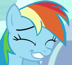 Size: 492x450 | Tagged: safe, screencap, rainbow dash, pegasus, pony, what about discord?, cropped, cute, dashabetes, eyes closed, female, grin, happy, mare, profile picture, snickering, solo, wavy mouth