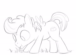 Size: 2096x1539 | Tagged: safe, artist:dtcx97, derpibooru import, pound cake, pegasus, pony, grazing, horses doing horse things, monochrome, solo