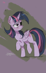 Size: 1600x2560 | Tagged: safe, artist:dawnflame, derpibooru import, twilight sparkle, twilight sparkle (alicorn), alicorn, pony, eyepatch