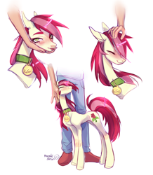 Size: 2790x3200 | Tagged: safe, artist:satan, derpibooru import, roseluck, earth pony, human, pony, behaving like a cat, blushing, clothes, collar, commission, commissioner:doom9454, cute, cuteluck, eyes closed, female, jeans, mare, pants, pet collar, pet tag, petting, pony pet, rosepet, simple background, smiling, thin, white background