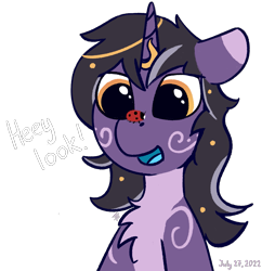 Size: 1967x2032 | Tagged: safe, artist:hardrock, derpibooru import, oc, oc only, oc:rivibaes, insect, ladybug, pony, unicorn, chest fluff, female, horn, simple background, solo, transparent background, unicorn oc