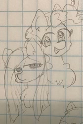 Size: 731x1085 | Tagged: safe, artist:metaruscarlet, derpibooru import, pinkie pie, earth pony, pony, duo, graph paper, open mouth, pinkamena diane pie, sketch, smiling, traditional art