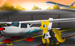 Size: 2440x1520 | Tagged: safe, artist:fededash, derpibooru import, oc, oc only, oc:cepni, argentina, boeing, boeing 737, cessna, crepuscular rays, pilot, plane, tree