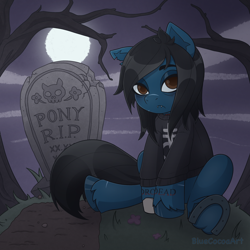 Size: 2048x2048 | Tagged: safe, artist:bluecocoaart, derpibooru import, oc, oc only, earth pony, pony, undead, zombie, zombie pony, black hair, clothes, commission, full moon, gravestone, hoodie, moon, night, scar, solo, ych result