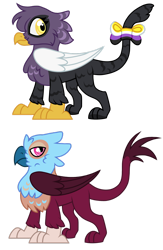 Size: 1280x1968 | Tagged: safe, artist:moonert, derpibooru import, oc, oc only, griffon, chest fluff, duo, griffon oc, simple background, transparent background, wings