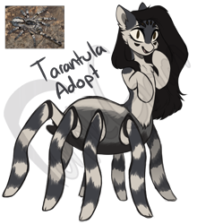 Size: 1142x1300 | Tagged: safe, artist:purplegrim40, derpibooru import, oc, oc only, monster pony, original species, pony, spiderpony, tarantula, ear fluff, ears, simple background, smiling, transparent background